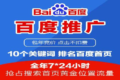 推广竞价实战技巧：从成功案例中汲取经验